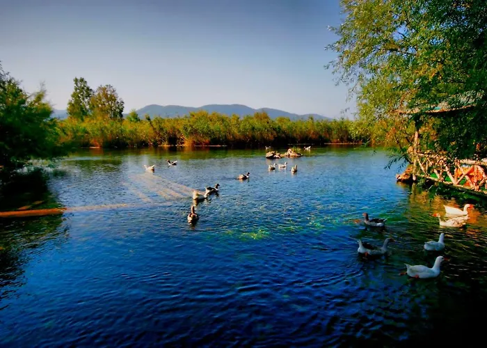 شقة فندقية Oezgem اكياكا