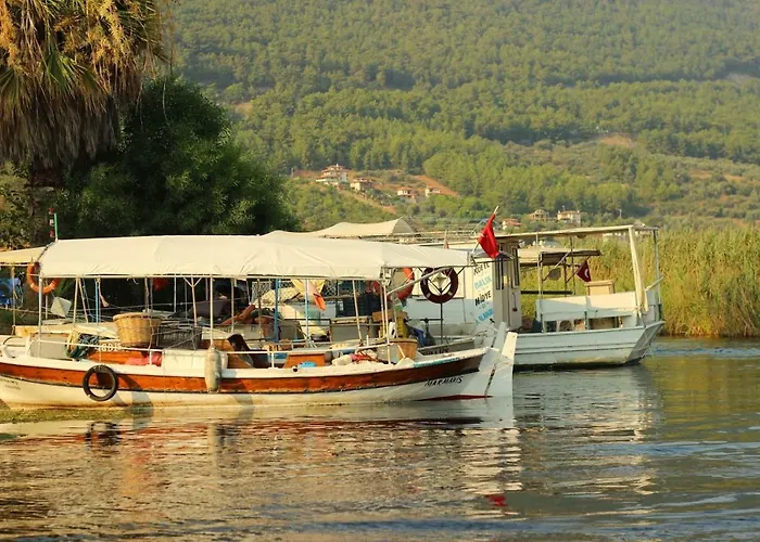 شقة فندقية Oezgem *